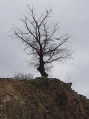 ilustran foto