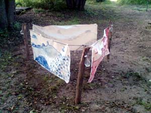 bodovn starch